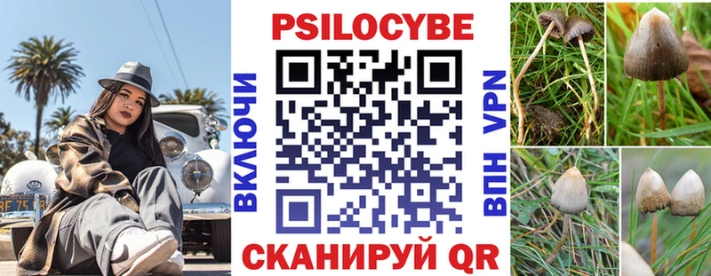 Галлюциногенные грибы Cubensis  Богданович 