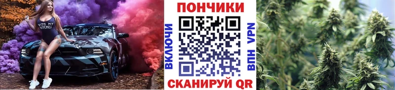 купить   Богданович  MEGA маркетплейс  Конопля план 